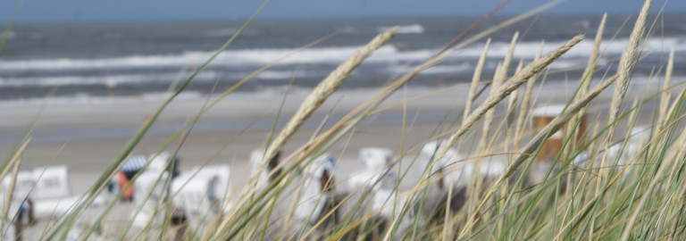 Blick von Düne auf Spiekeroog-Strand