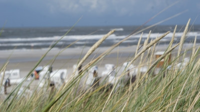 Blick von Grasdüne auf Spiekeroog-Strand